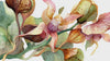 Floral illustration symbolizing growth through business, leadership, and executive coaching with Lacey Haegen.