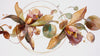 Floral artwork representing business, leadership, and executive coaching with Flourish by Lacey Haegen.